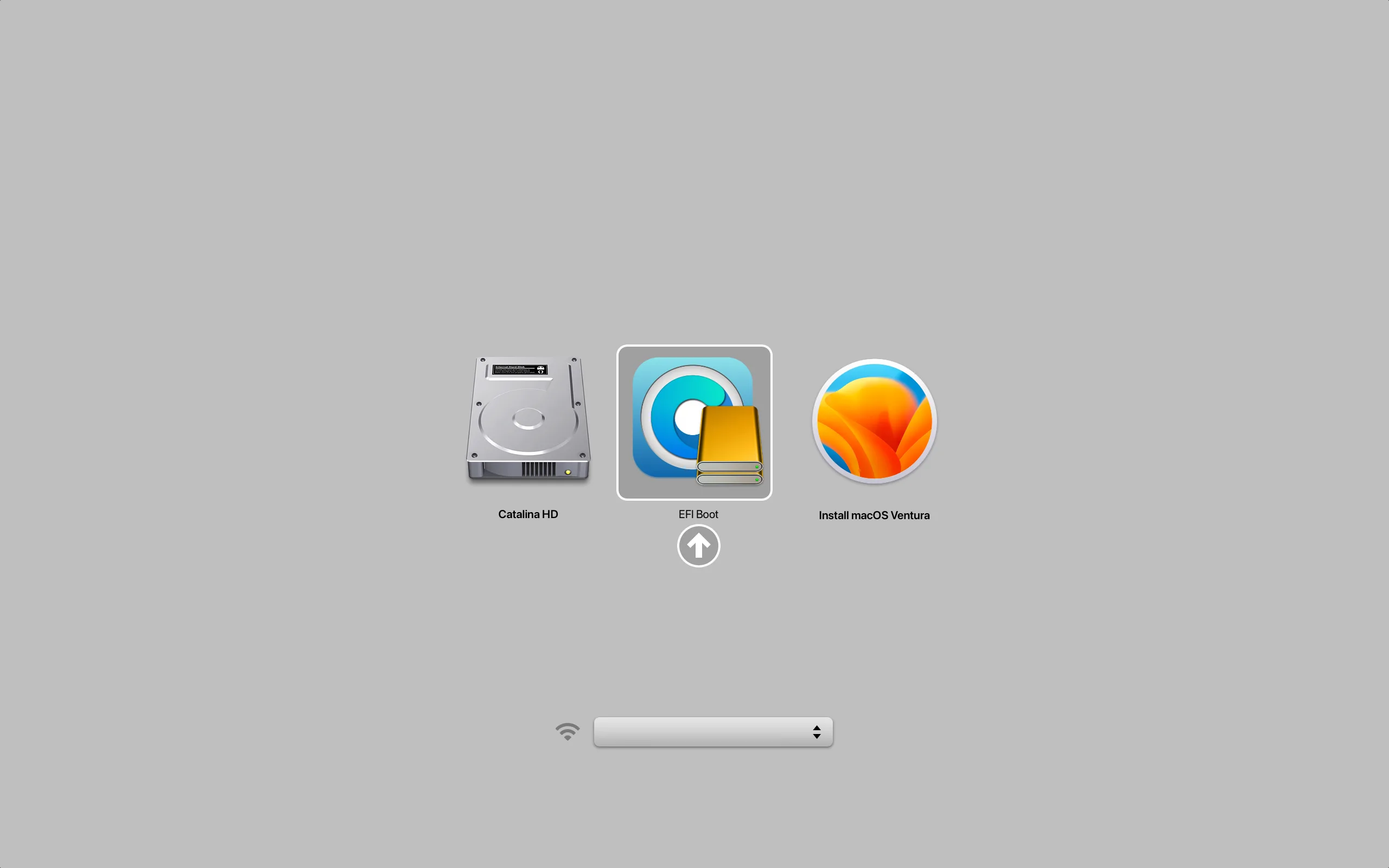 EFI Boot in Mac boot picker